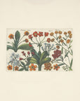 Botanical illustration print detail from POLLIN Signature 01