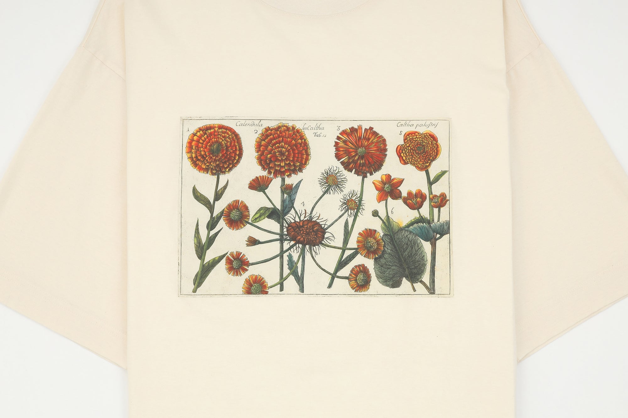 Botanical illustration print detail from POLLIN Signature 05