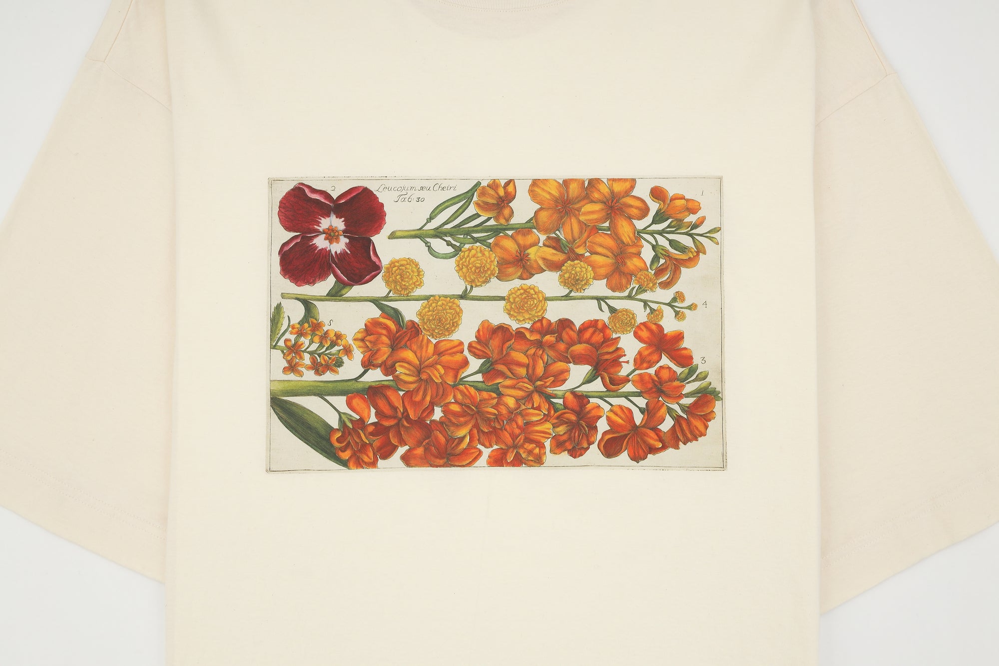 Botanical illustration print detail from POLLIN Signature 09